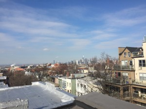 Park Slope Rooftop View Townhouses